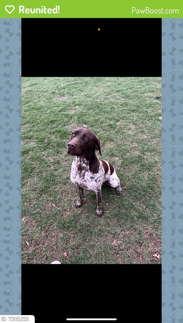 Reunited Male Dog last seen Broadway and 12th, Moore, OK 73160