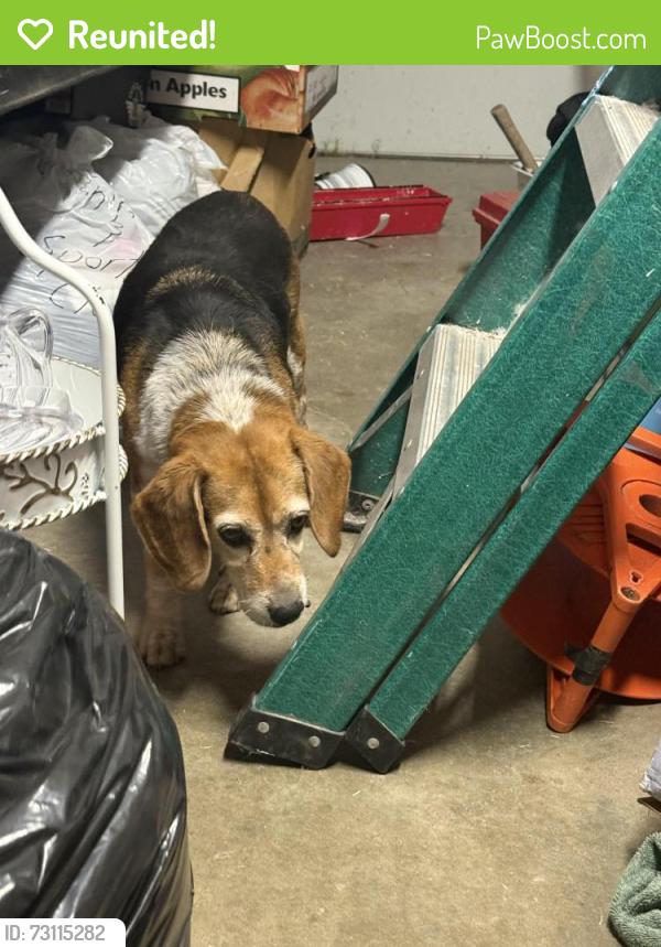 Reunited Unknown Dog last seen Thunder and lake across from fire department, Oceanside, CA 92056