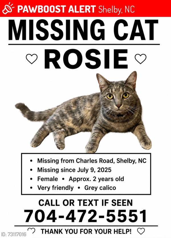 Lost Female Cat last seen Charles Road, Shelby, NC 28152