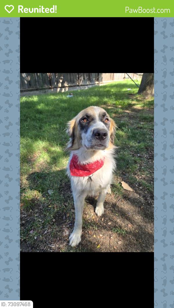 Reunited Male Dog last seen Lander, Turlock, CA 95380
