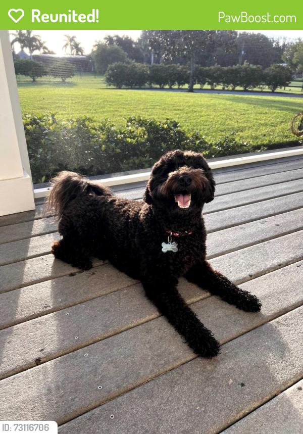 Reunited Male Dog last seen Chase Hammock Rd, Merritt Island, FL 32953