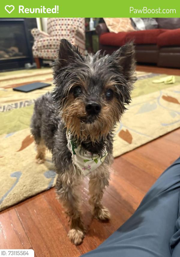 Reunited Male Dog last seen Dorchester Cir, Canton Township, MI 48188, USA, Canton Township, MI 48188