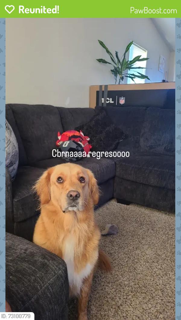 Reunited Female Dog last seen Galaxia Dr 79928, Horizon City, TX 79928