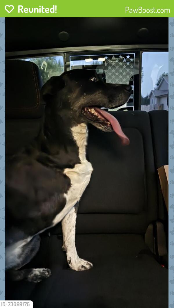 Reunited Male Dog last seen Found by the mailbox, Evans, CO 80620