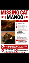 Reunited Male Cat last seen Rolling Hill Drive and Tanasbrook Circle, Beaverton, OR 97006