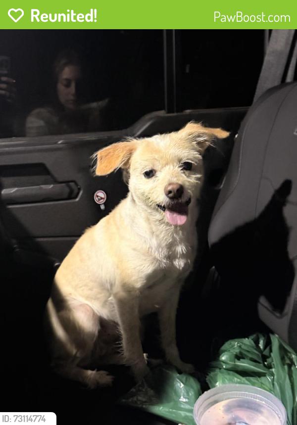 Reunited Female Dog last seen Deer Valley Dr, Eagleville, TN 37060