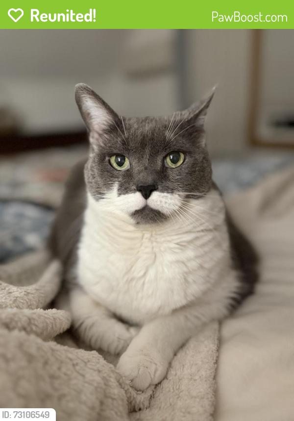 Reunited Female Cat last seen Between 9D and Dutchess Terrace, Beacon, NY 12508
