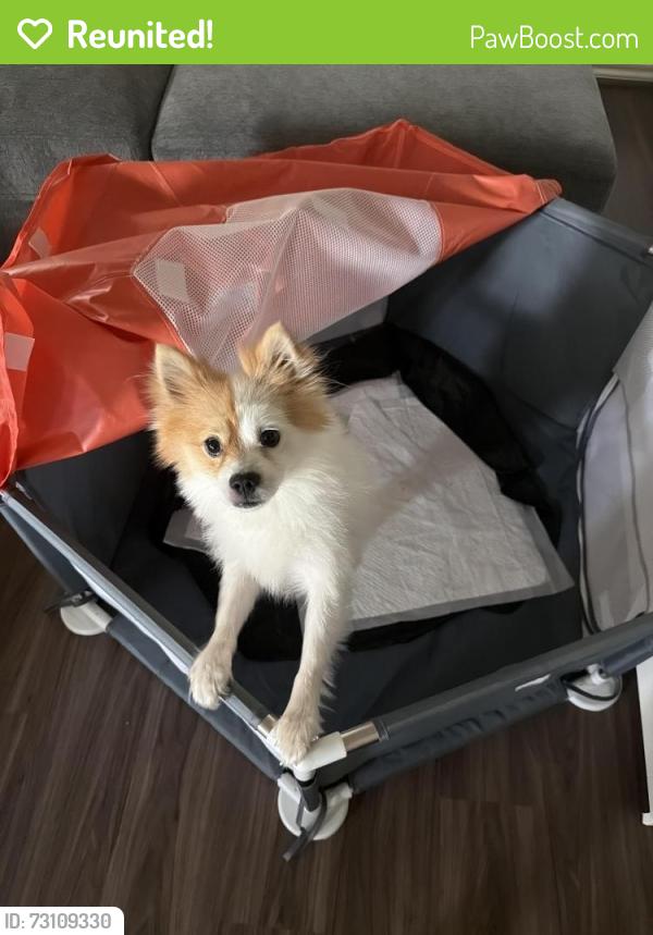 Reunited Male Dog last seen Katy, Katy, TX 77493