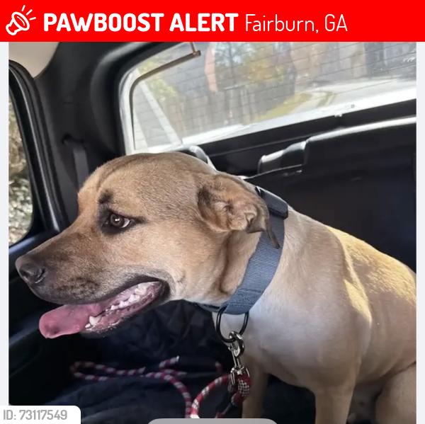 Lost Female Dog last seen Rivertown Road, Fairburn, Fairburn, GA 30213