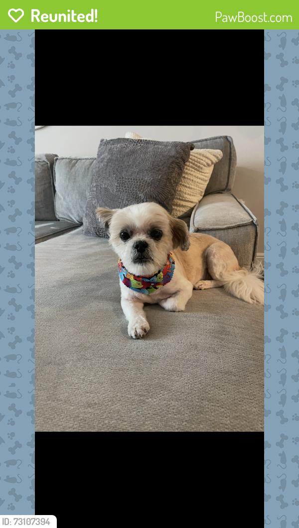 Reunited Female Dog last seen Abram's road, Eustis, FL 32726