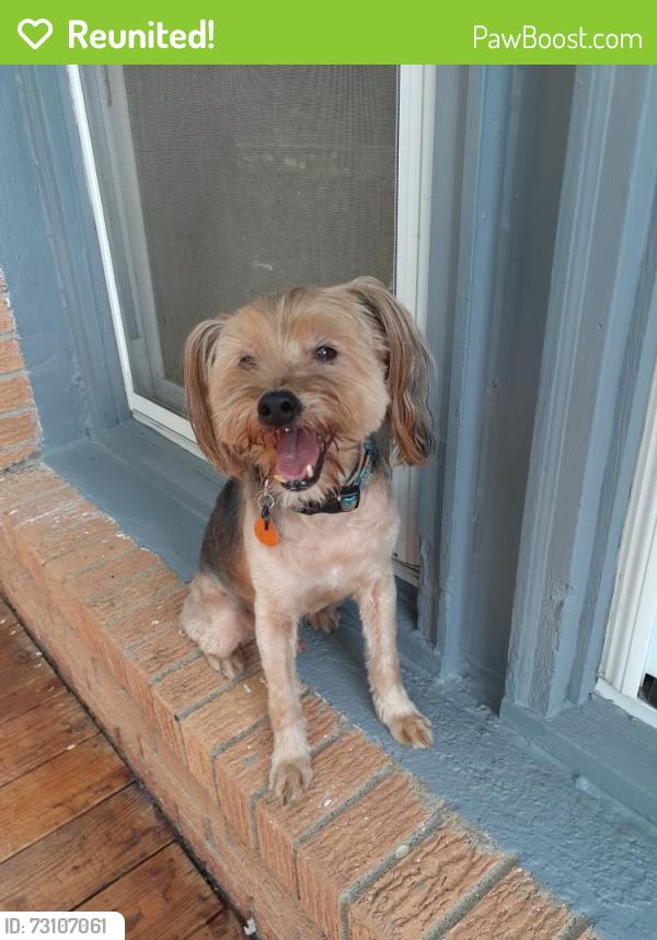 Reunited Male Dog last seen Webster and Leavenworth rd, Kansas City, KS 66109