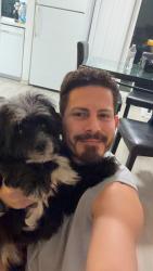 Reunited Male Dog last seen Between Pacifica apmts and Cobble Court apmts, Pacific, WA 98047