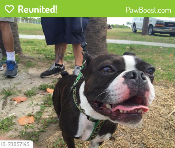 Reunited Male Dog last seen Oliver Street between Hamlin and Oakhurst, Largo, FL 33774