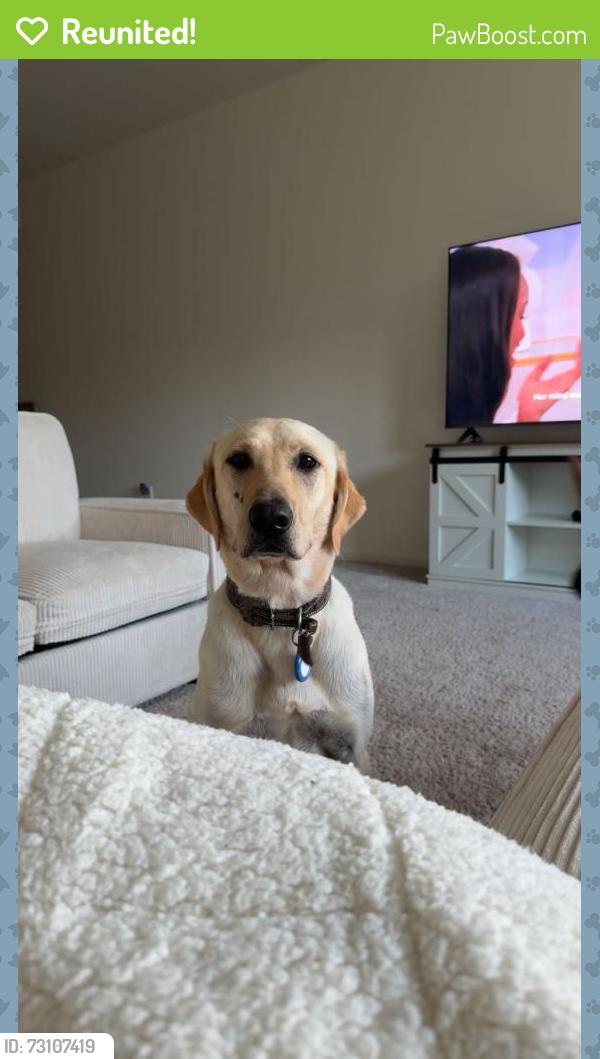 Reunited Female Dog last seen mccaleb road, chapel run neighborhood, Montgomery, TX 77316