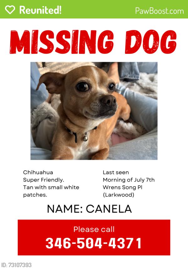 Reunited Female Dog last seen Near wrens song Pl, Spring, TX 77382