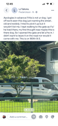 Reunited Male Dog last seen Near 180th St E, Tacoma, WA 98446, Tacoma, WA 98446