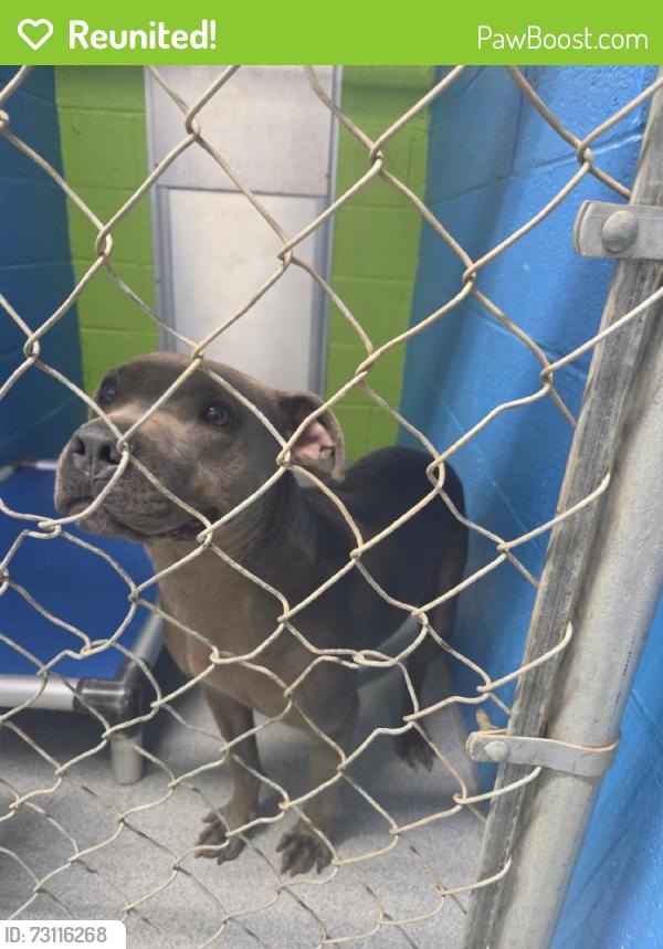 Reunited Male Dog last seen Near N Pennsylvania Ave, The Village, OK 73120, USA, The Village, OK 73120