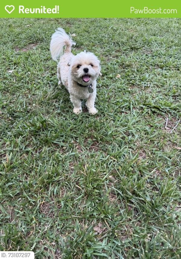 Reunited Male Dog last seen Near Ludwick avenue, Salisbury, NC 28146
