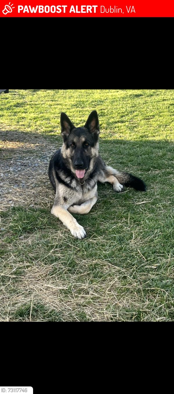 Lost Male Dog last seen None, Dublin, VA 24084