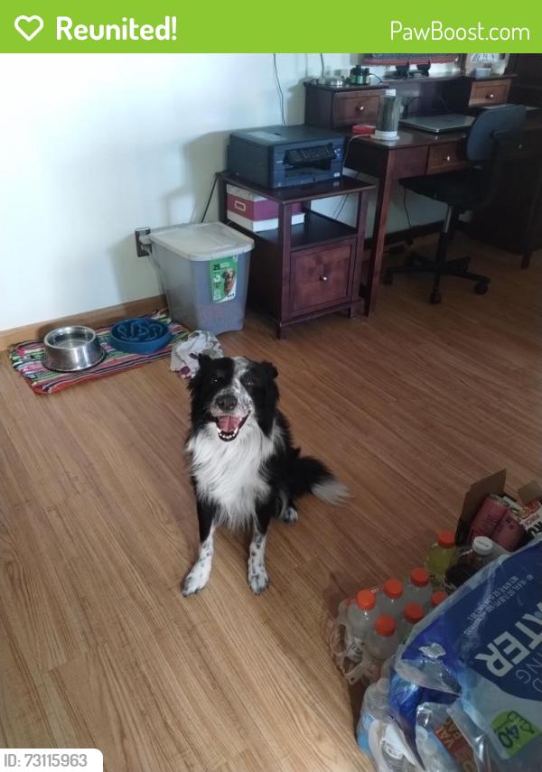 Reunited Unknown Dog last seen Tempe AZ, Tempe, AZ 85283