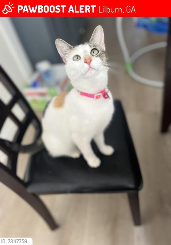 Lost Female Cat last seen Five forks trickum and Charlie lane, Lilburn, GA 30047