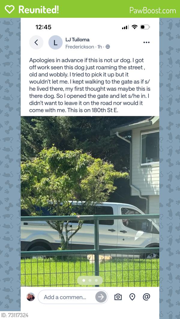 Reunited Male Dog last seen Near 180th St E, Tacoma, WA 98446, Tacoma, WA 98446