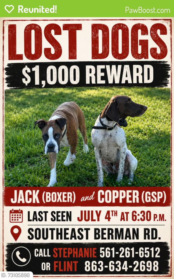 Reunited Male Dog last seen Near, Okeechobee, FL 34974