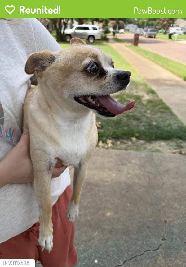 Reunited Male Dog last seen Easthill Neighborhood, Memphis, TN 38135