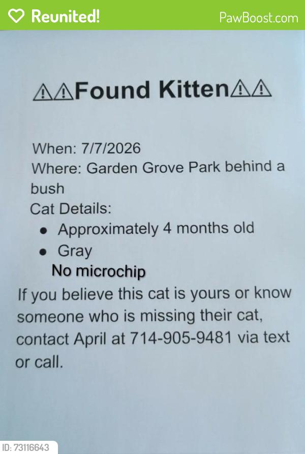 Reunited Unknown Cat last seen Garden Grove Park (9301 Westminster Blvd., Garden Grove, CA 92844), Garden Grove, CA 92844