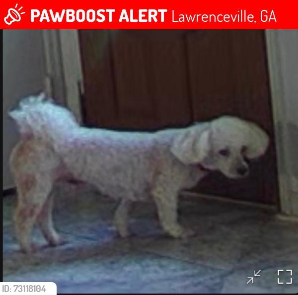 Lost Male Dog last seen Charter oaks Ln,GA, Lawrenceville, GA 30046