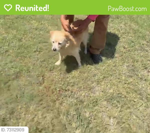 Reunited Unknown Dog last seen Meadow Lark Ln, Anna, TX 75409