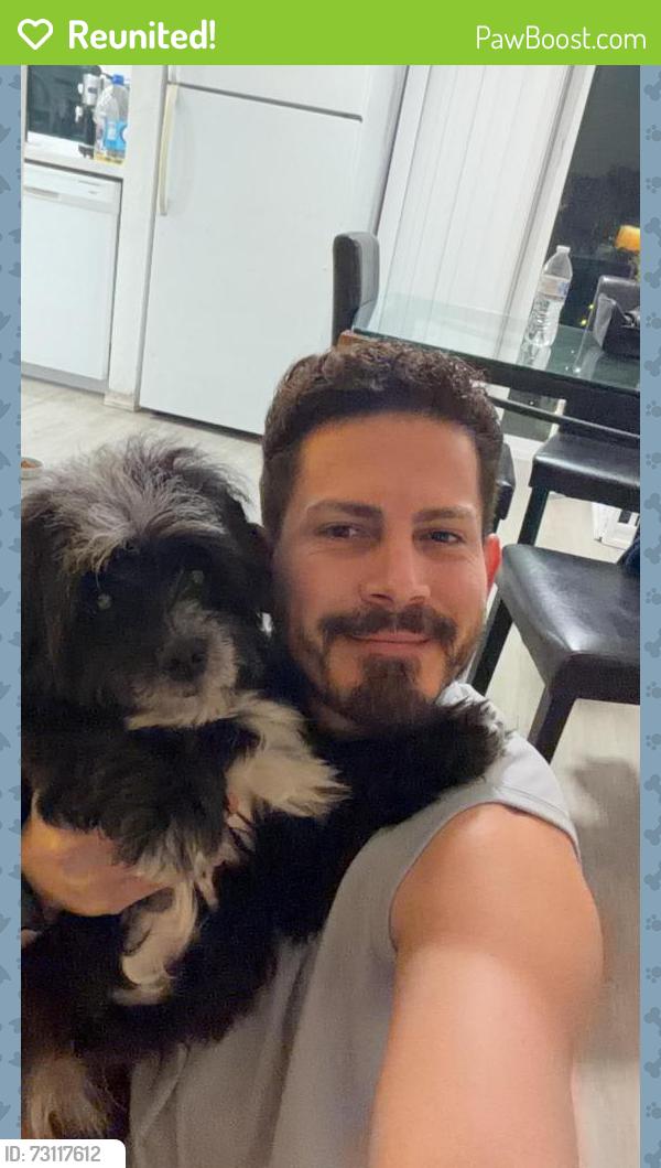 Reunited Male Dog last seen Between Pacifica apmts and Cobble Court apmts, Pacific, WA 98047