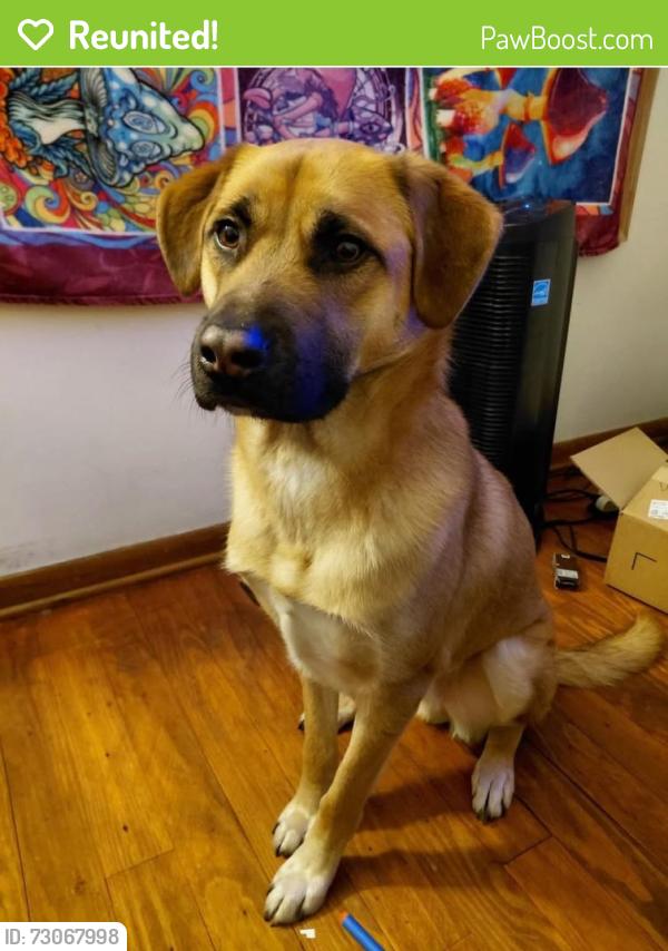 Reunited Male Dog last seen Soper ave. and school st., Rockford, IL 61101