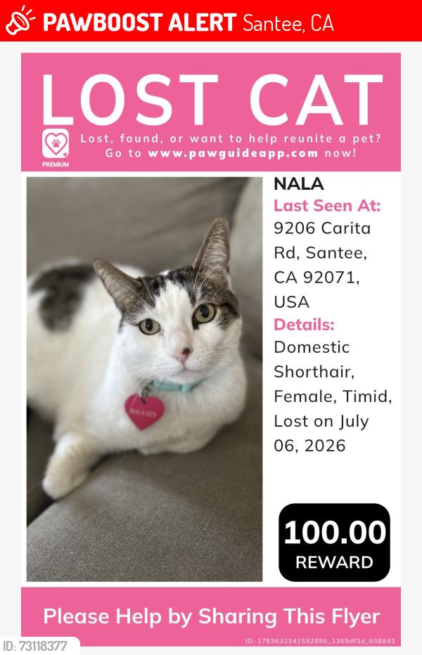 Lost Female Cat last seen Carita Ct., Santee, CA 92071