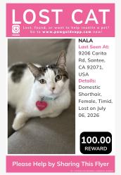 Lost Female Cat last seen Carita Ct., Santee, CA 92071