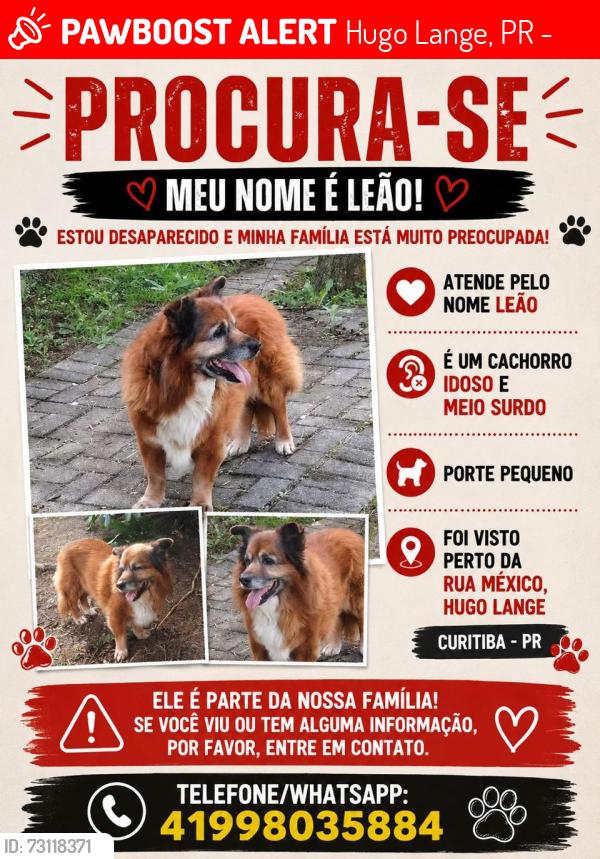 Lost Male Dog last seen Simão bolívar, Hugo Lange, PR 82590-300