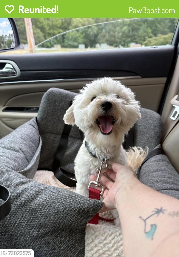 Reunited Male Dog last seen E Young St, Wake Forest, NC 27587