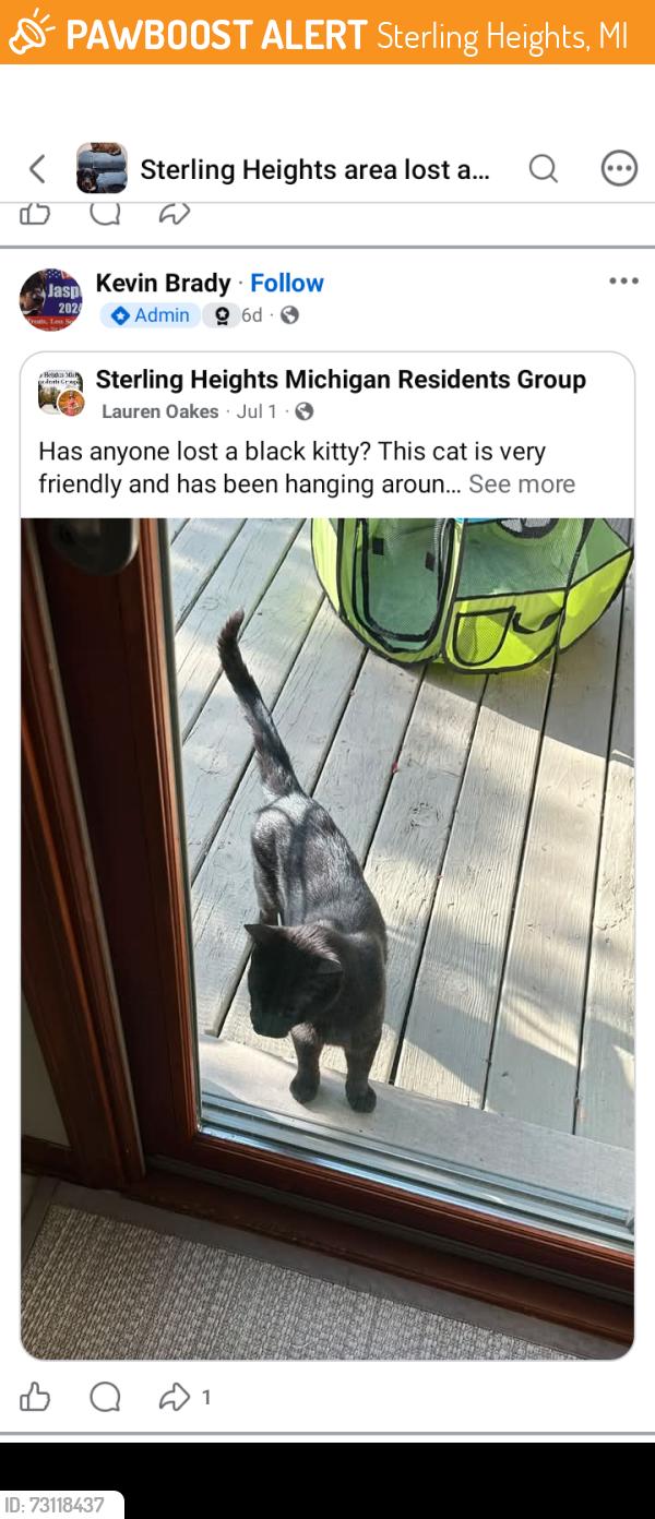 Found/Stray Male Cat last seen Ryan rd vera ct, Sterling Heights, MI 48310