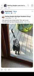 Found/Stray Male Cat last seen Ryan rd vera ct, Sterling Heights, MI 48310