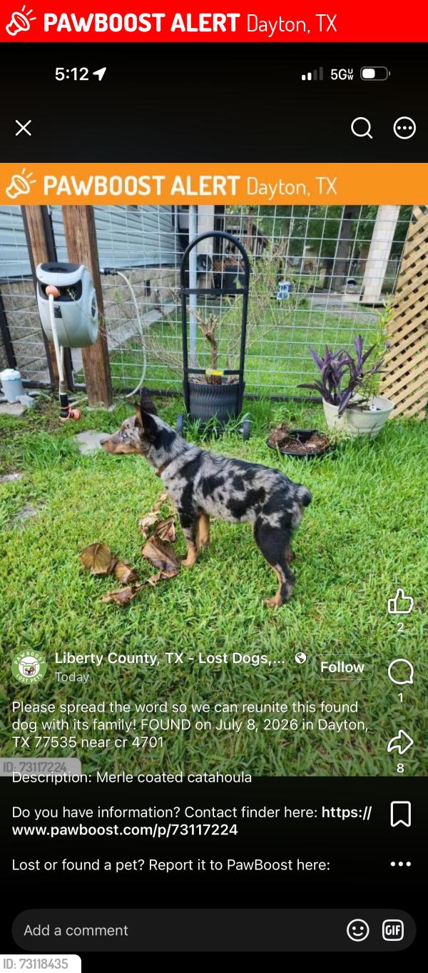 Lost Male Dog last seen Cr4701, Dayton, TX 77535