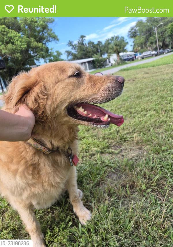 Reunited Unknown Dog last seen Kittles st, Mims, Mims, FL 32754