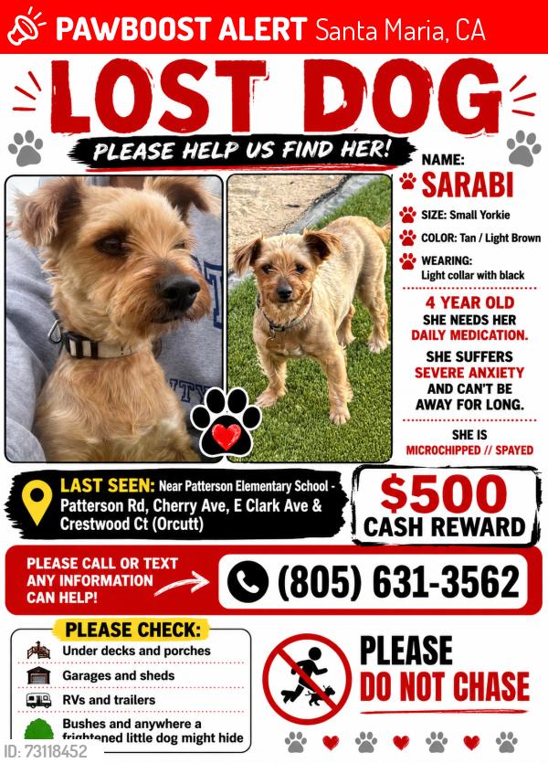 Lost Female Dog last seen Cherry Ave, Patterson Rd, Crestwood, Santa Maria, CA 93455