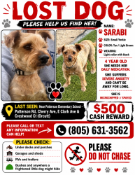 Lost Female Dog last seen Cherry Ave, Patterson Rd, Crestwood, Santa Maria, CA 93455