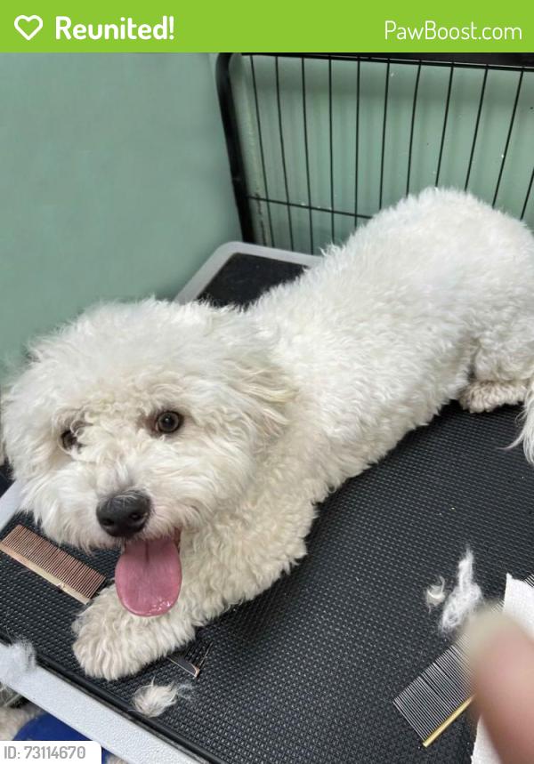 Reunited Female Dog last seen Puma Dr. Scarborough, ON, Toronto, ON 