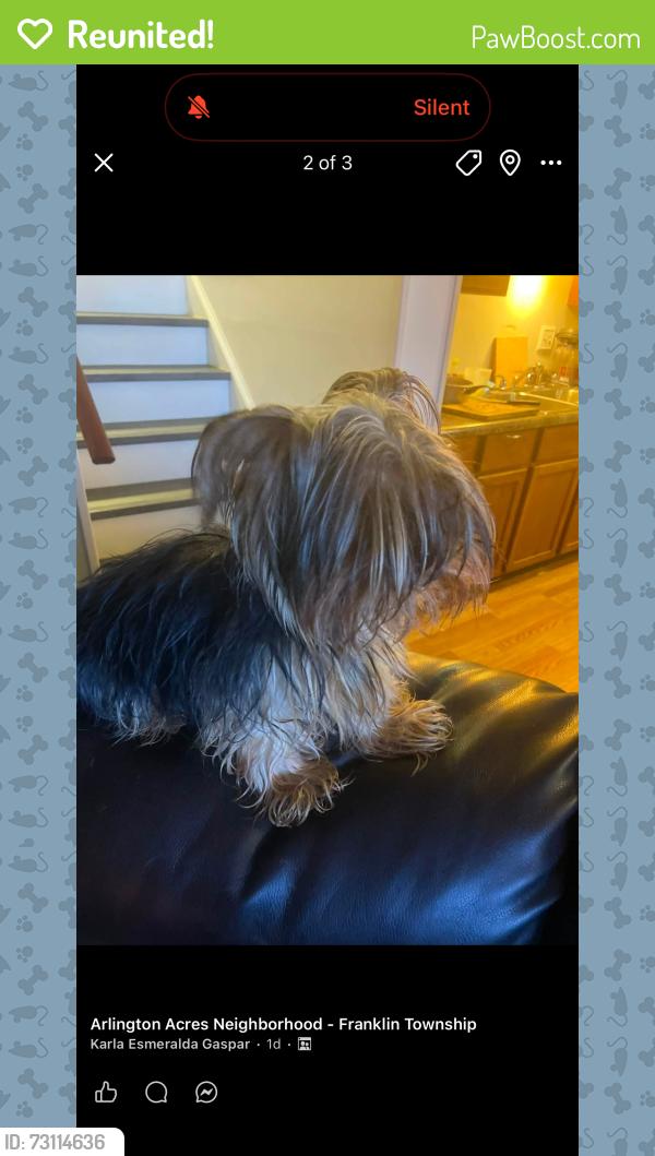 Reunited Female Dog last seen Thompson and Arlington, Indianapolis, IN 46227