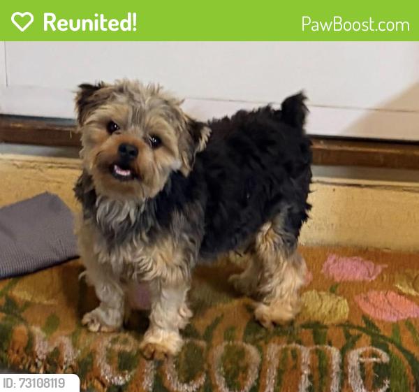 Reunited Male Dog last seen Keyes, Keyes, CA 95328
