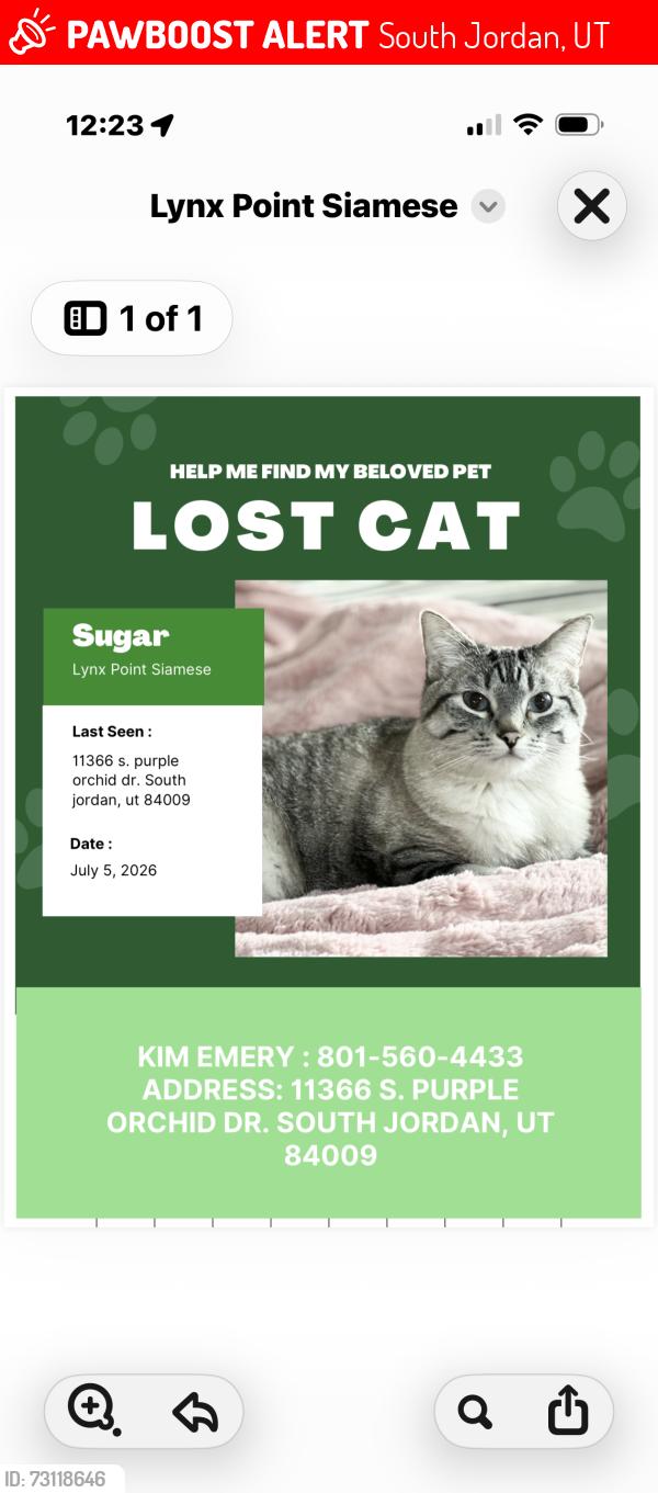 Lost Female Cat last seen Prosperity, South Jordan, UT 84009