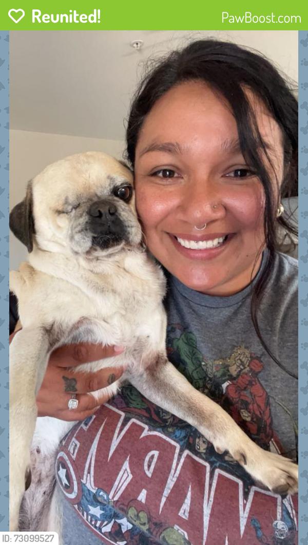 Reunited Female Dog last seen Boronda and rider, Salinas, CA 93905