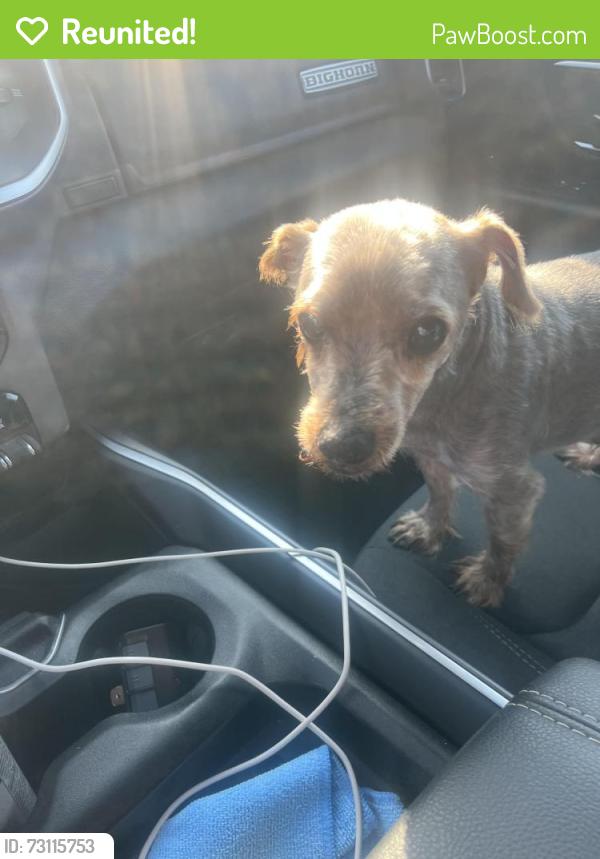 Reunited Male Dog last seen Toledo Zoo, Toledo, OH 43604