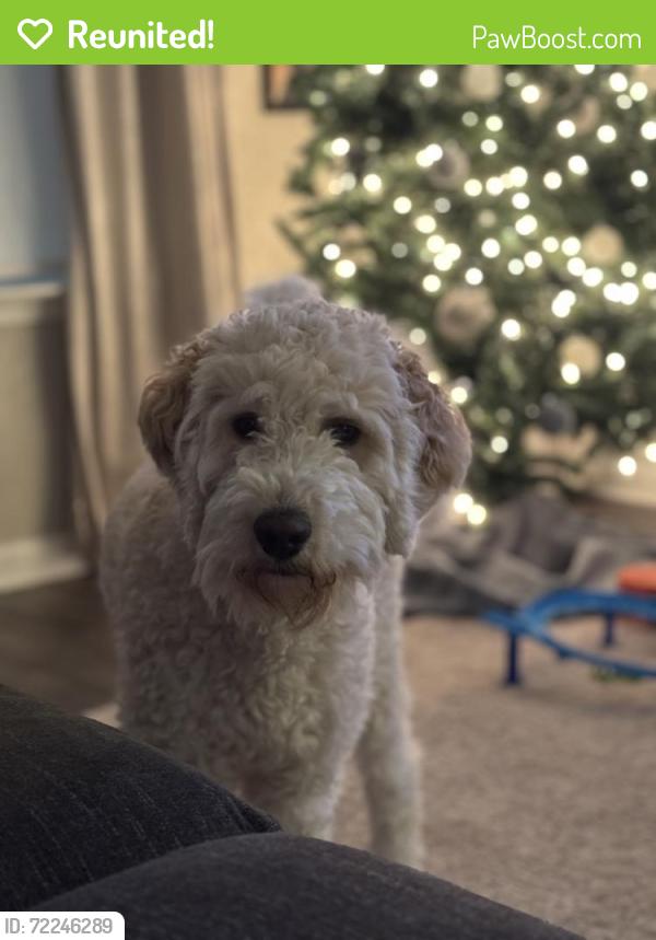 Reunited Female Dog last seen Sigman road and Boar Tusk road, Conyers, GA 30012